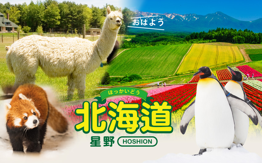 北海道星野５日